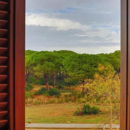 Precioso Apartamento A 700 M Del Mar Chiclana de la Frontera Buitenkant foto