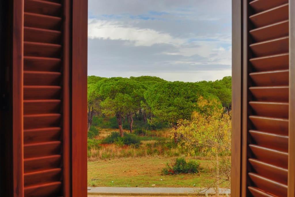 Precioso Apartamento A 700 M Del Mar Chiclana de la Frontera Buitenkant foto